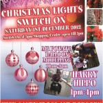 Christmas lights switch on